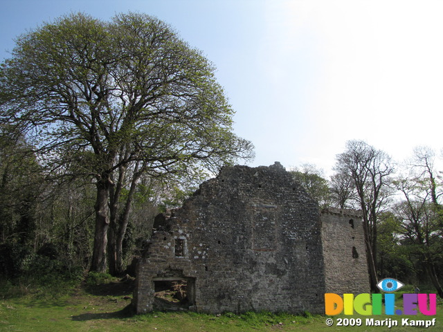 SX05339 Tree and Candleston Castle